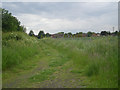 Track at the edge of a field