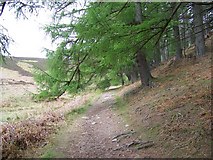 NO6286 : Path to Clachnaben by Maigheach-gheal