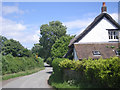 Thatched cottage