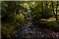 Flowing stream over rocks