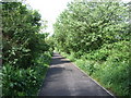 Down-line old Deeside Railway