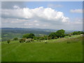 Farmland on side of Hope Mountain.