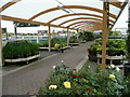 Outdoor plant area, Wyevale, Hereford