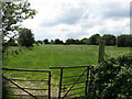 Broadacres Farm - Footpath and fields