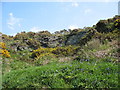 Small quarry in an igneous outcrop by the side of the lane.