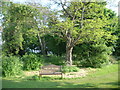 Thorpe Lodge (B&B) - bench & gardens