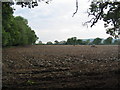 Ploughing next to Mellington Wood