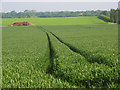 Farmland, Chilton