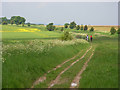 The Ridgeway above East Ginge