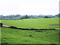 Whitchurch - Bubney Moor