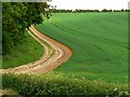 Wansdyke, near East Kennett