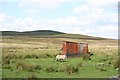 NY8889 : Even sheep need sheds on moorland at Corsenside by Duncan Grey