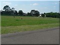 Winton: Winton Rec playing field