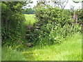 Stile on the footpath between Budock and Kergilliack