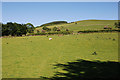 Fields west of Pant-y-fen