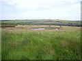 Conservation area,Hamsterley Forest