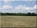 Old Cricket Ground - Fibbersley Local Nature Reserve