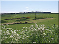 Farmland east of Soulsgrave Farm