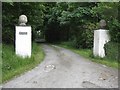 Entrance pillars