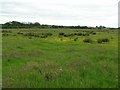 Landagivey Townland