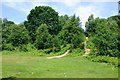 Cleared area inside Kenilworth Common