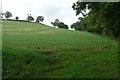 Field near Esgair-hir