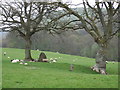 Standing Stone off the A4358