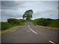 Country Road near Polwarth