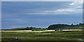 Sea of bog cotton, Challochglass Moor