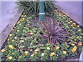 Flowerbeds at the junction of Alpha Road, Minnis Road and Station Road