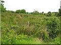 Castleroddy Townland