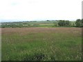 Hay meadow above the A4080