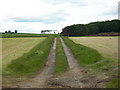 Farm track near Corsbie Farm