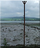 NS3574 : Measured Mile post in the Clyde at Parklea by Thomas Nugent