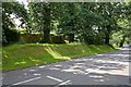 Grassy bank beside Winchester Road, Bishop