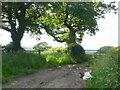 Double field gateway near Chelborough