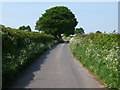 Lane leading to Moreton Farm