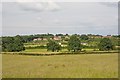 Looking across fields on Tangier Farm