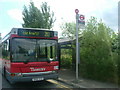 Bus 283 at Wetland Wildlife Trust, Barnes