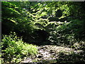 Footbridge over Halgut Burn (3)