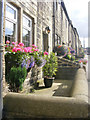 Cottage fronts on Keighley Road, Cowling