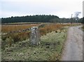 Triangulation Pillar, Spire Farm