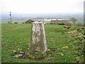 Triangulation pillar, Windy Bank