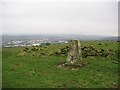 Triangulation pillar, Windy Bank