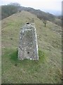 Tuthill Quarry triangulation pillar