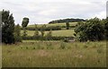 The Countryside nr Hayton