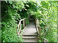 Board Walk on Avon Walkway