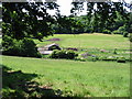 Looking through the trees to Rakeshole Farm