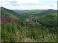 Toward the Neath Valley from Mynydd Pen-rhys