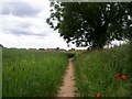 Footpath heading into Harthill